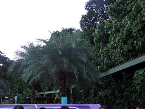 DSCF3416_resize.JPG